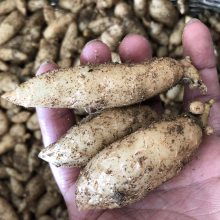 價(jià)格 廠家 中國供應(yīng)商